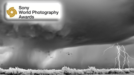 I Sony World Photography Awards 2012 parlano italiano