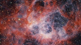 Il telescopio spaziale James Webb cattura un'immagine della nebulosa NGC 604