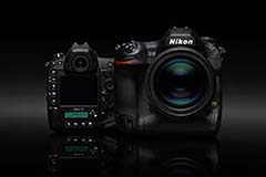 Nikon D5, recensione completa della nuova ammiraglia reflex dalle specifiche stellari