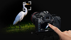 Canon EOS 5D Mark IV: 30MPixel , NFC+GPS, Dual Pixel RAW, Wi-Fi e video 4K