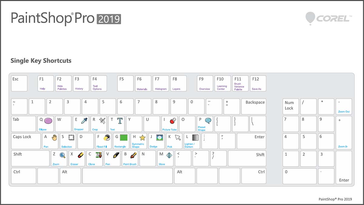 + Immagine ingrandita +