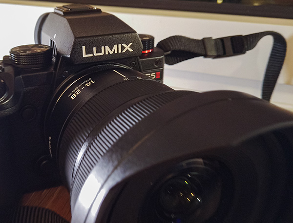 Panasonic Lumix S5 II: primo contatto Lumix S 14-28mm F4-5.6 Macro