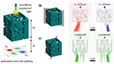 Nanostrutture 3D per andare oltre i sensori con filtro colore Bayer: una ricerca dimostra la fattibilità