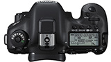 Canon EOS 7D Mk II, i primi scatti