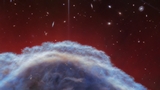 Telescopio spaziale James Webb: rilasciata la bellissima immagine della Nebulosa Testa di Cavallo