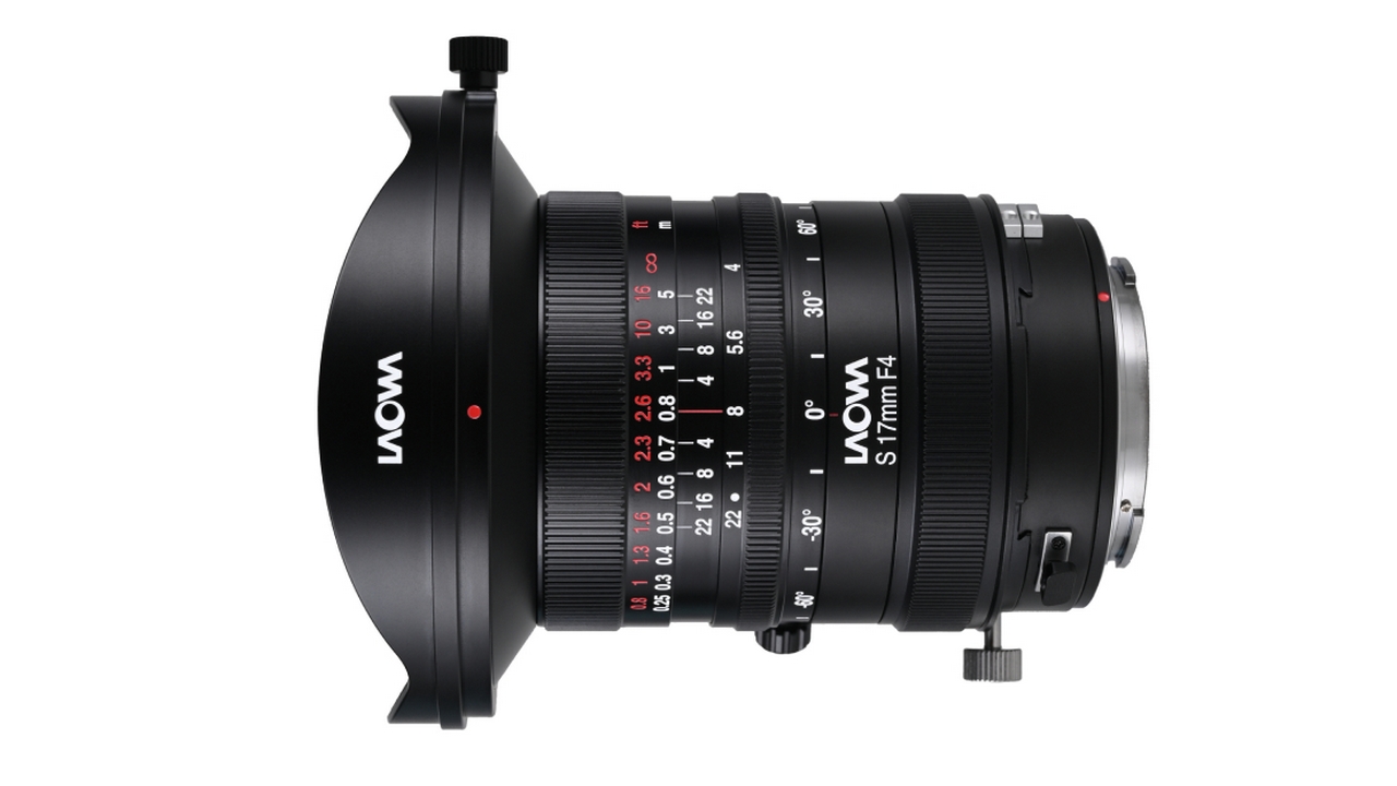 FEICHAO Staffa A Doppia Testa A Sfera 17mm Con Foro Vite 1/4'' - Snodo Regolabile In Lega Di Alluminio Per Fotocamera, Telefono E Accessori