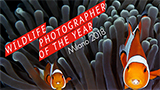 Wildlife Photographer of the Year in mostra a Milano da oggi