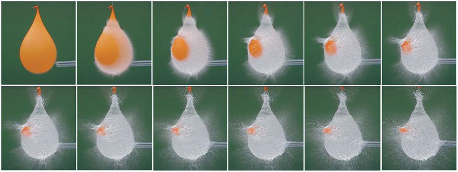 + Immagine ingrandita +