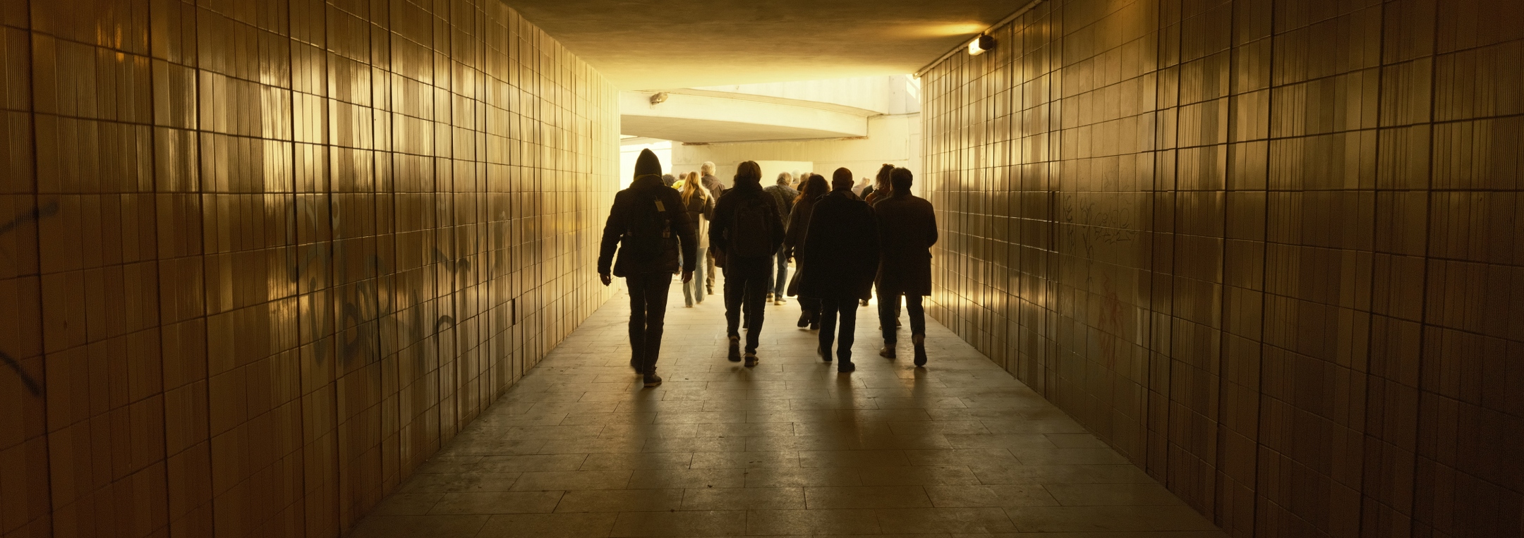 + Immagine ingrandita +